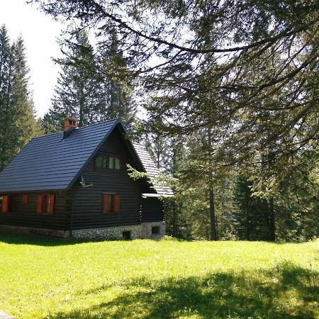 Chalet Stara Jelka Pokljuka Zgornje Gorje Buitenkant foto