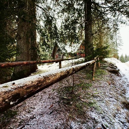Chalet Stara Jelka Pokljuka Zgornje Gorje Buitenkant foto