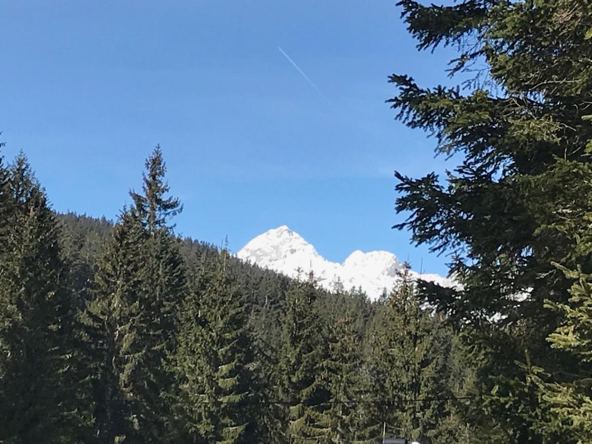 Chalet Stara Jelka Pokljuka Zgornje Gorje Buitenkant foto