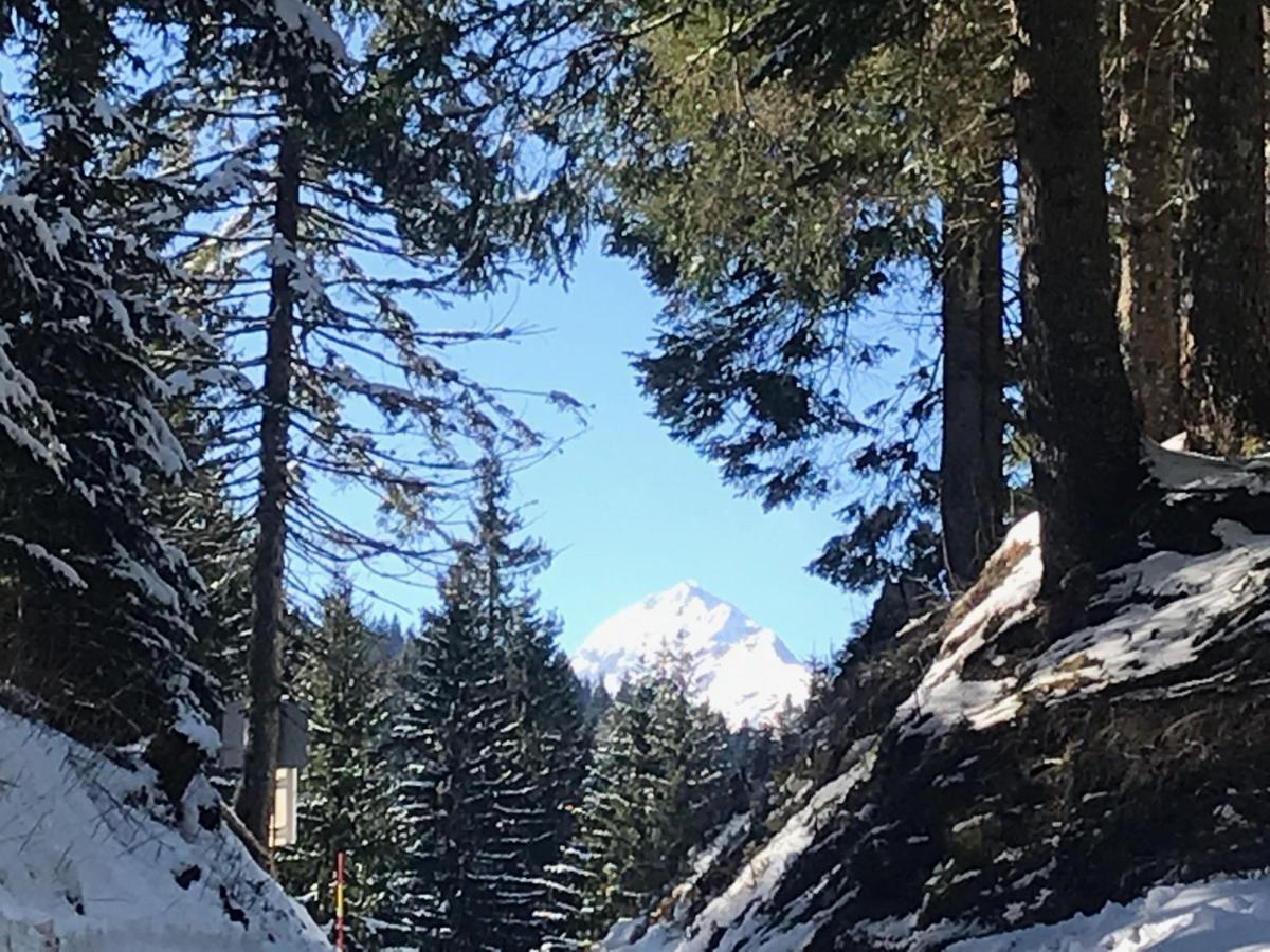 Chalet Stara Jelka Pokljuka Zgornje Gorje Buitenkant foto