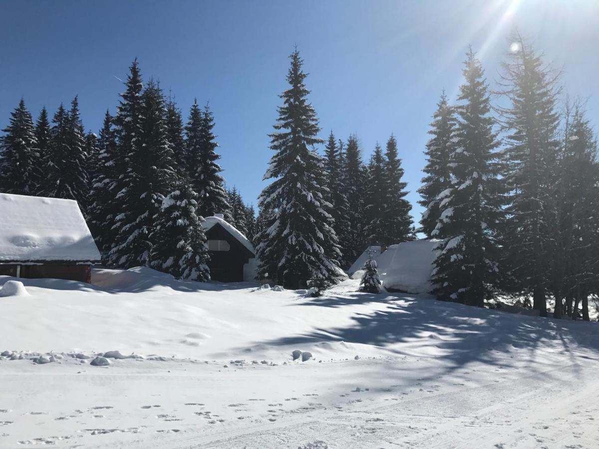 Chalet Stara Jelka Pokljuka Zgornje Gorje Buitenkant foto