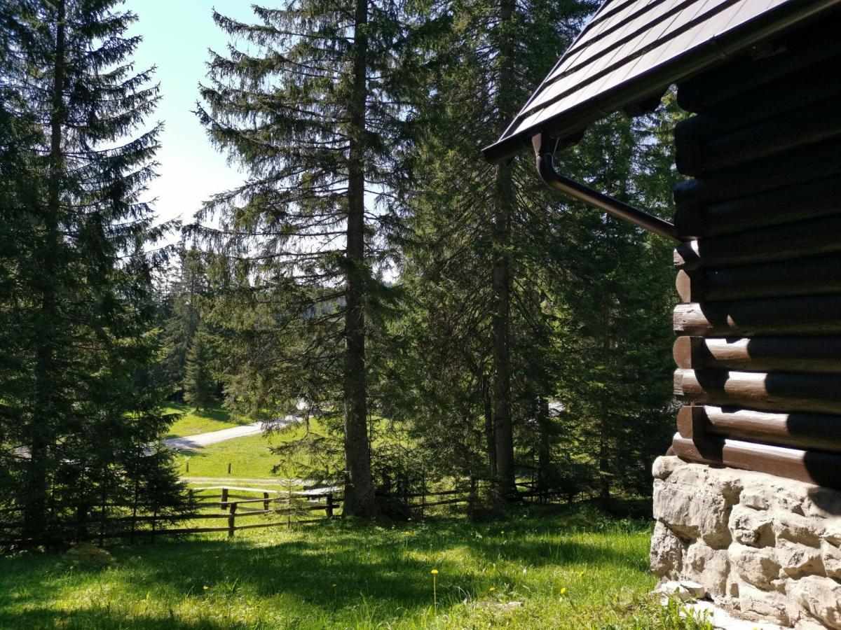 Chalet Stara Jelka Pokljuka Zgornje Gorje Buitenkant foto