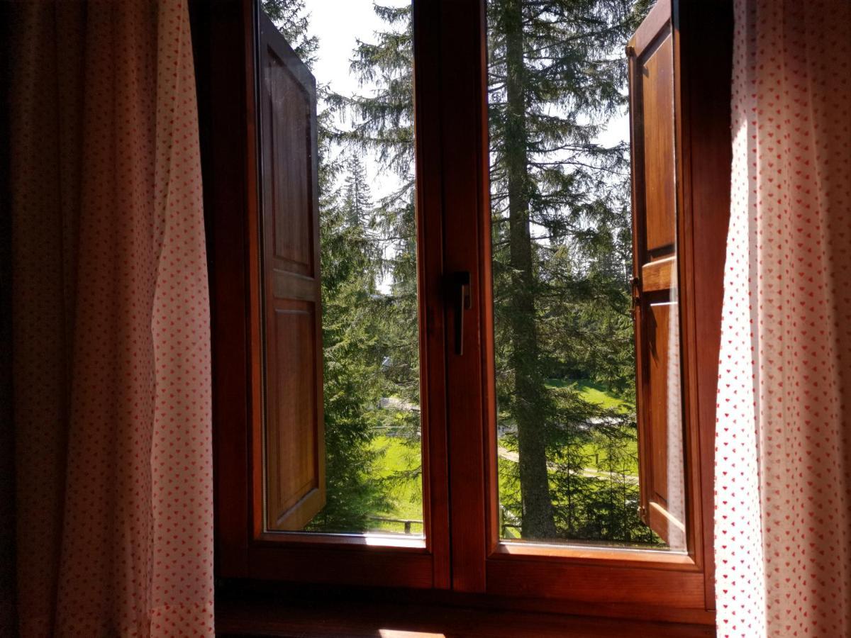 Chalet Stara Jelka Pokljuka Zgornje Gorje Buitenkant foto