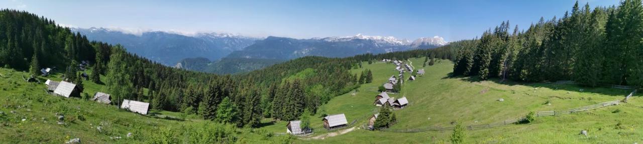 Chalet Stara Jelka Pokljuka Zgornje Gorje Buitenkant foto