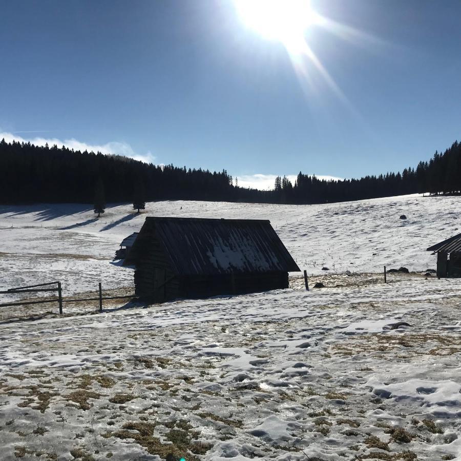 Chalet Stara Jelka Pokljuka Zgornje Gorje Buitenkant foto