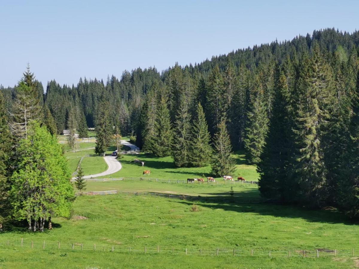 Chalet Stara Jelka Pokljuka Zgornje Gorje Buitenkant foto