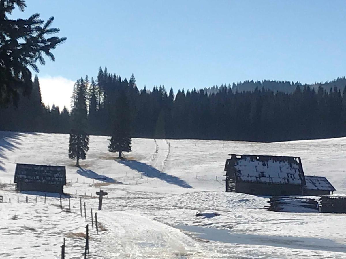Chalet Stara Jelka Pokljuka Zgornje Gorje Buitenkant foto