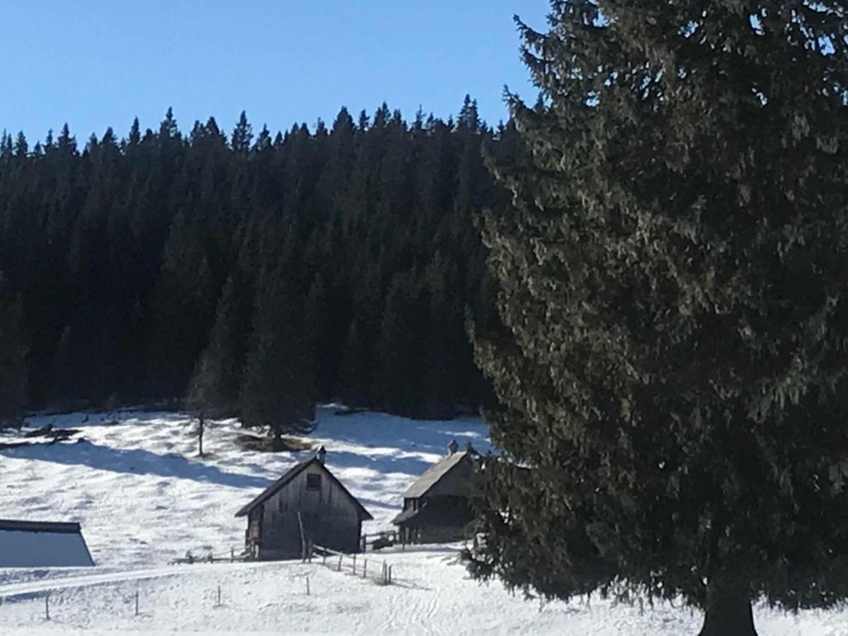 Chalet Stara Jelka Pokljuka Zgornje Gorje Buitenkant foto