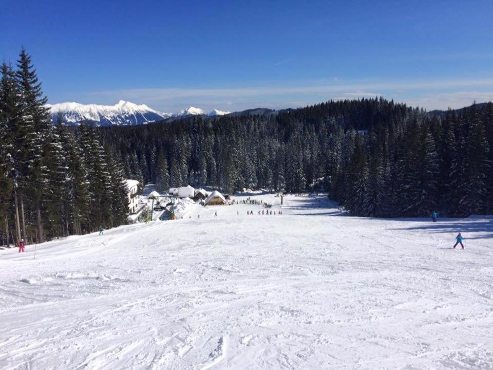 Chalet Stara Jelka Pokljuka Zgornje Gorje Buitenkant foto