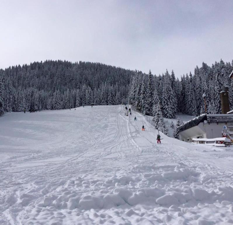 Chalet Stara Jelka Pokljuka Zgornje Gorje Buitenkant foto