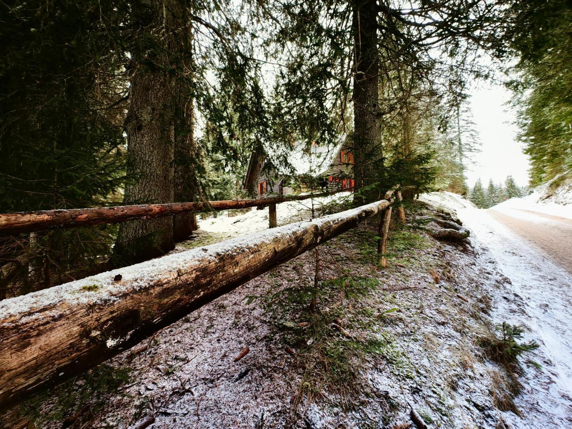 Chalet Stara Jelka Pokljuka Zgornje Gorje Buitenkant foto