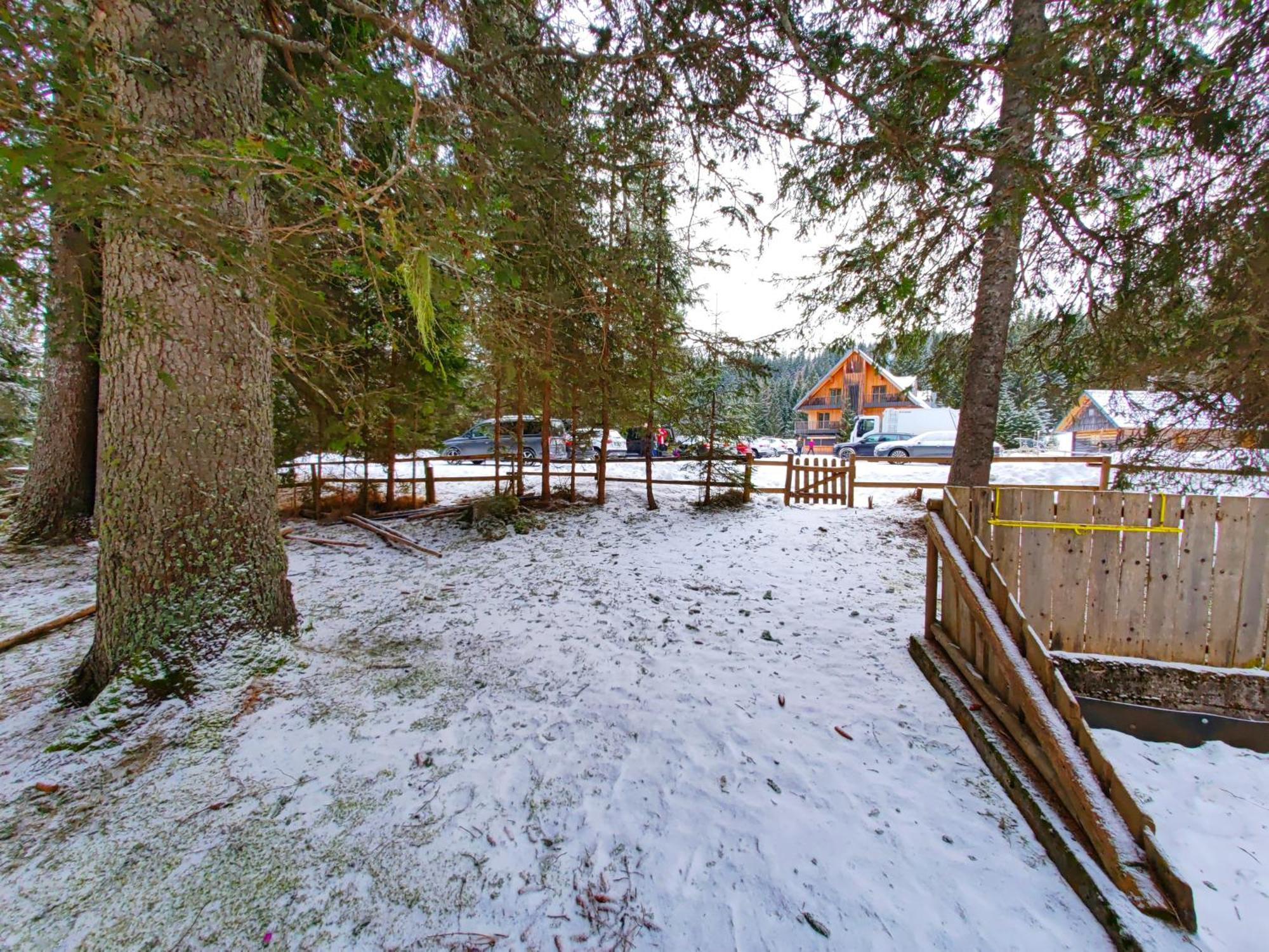 Chalet Stara Jelka Pokljuka Zgornje Gorje Buitenkant foto