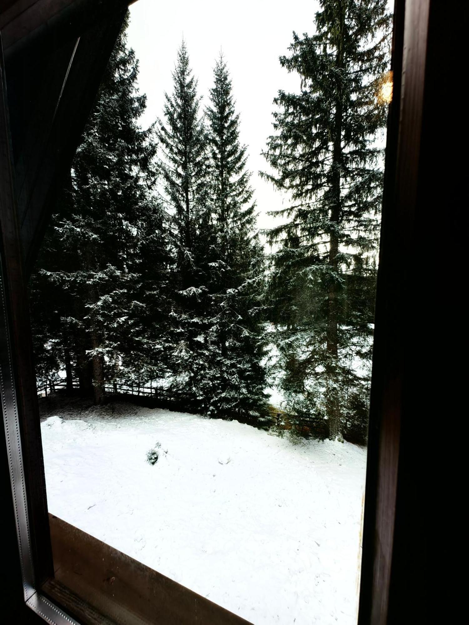 Chalet Stara Jelka Pokljuka Zgornje Gorje Buitenkant foto