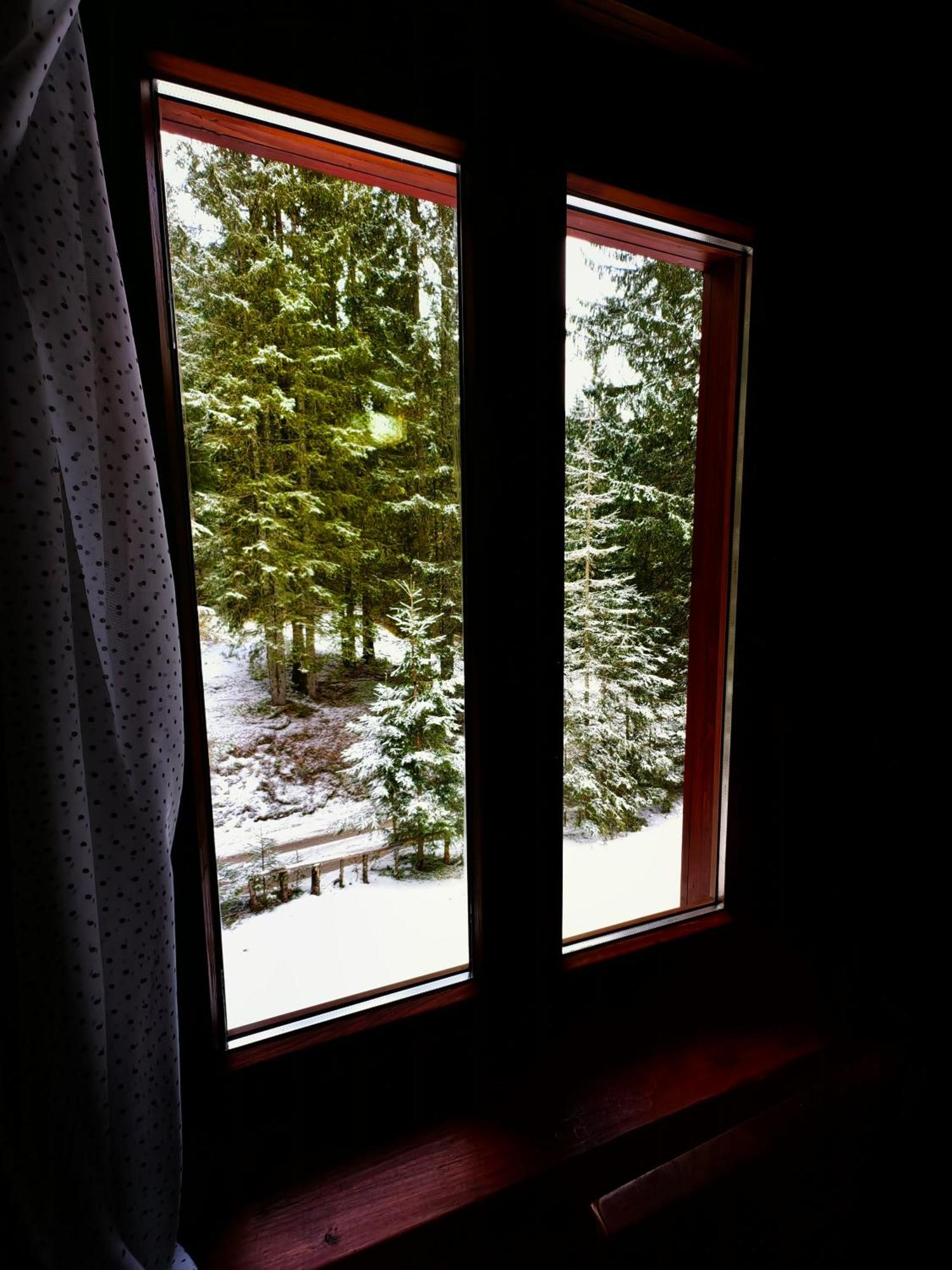 Chalet Stara Jelka Pokljuka Zgornje Gorje Buitenkant foto
