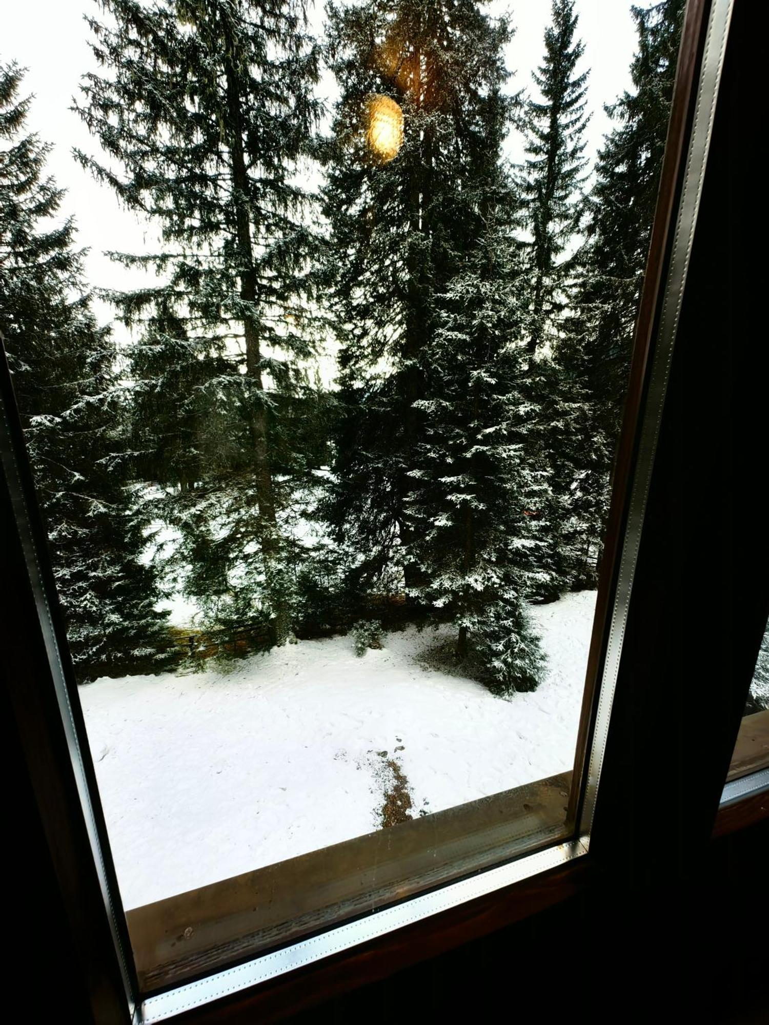 Chalet Stara Jelka Pokljuka Zgornje Gorje Buitenkant foto